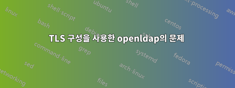 TLS 구성을 사용한 openldap의 문제