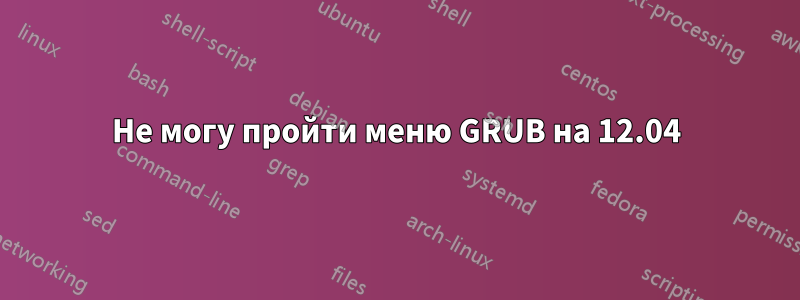 Не могу пройти меню GRUB на 12.04