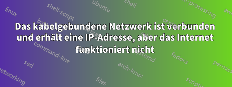 Das kabelgebundene Netzwerk ist verbunden und erhält eine IP-Adresse, aber das Internet funktioniert nicht