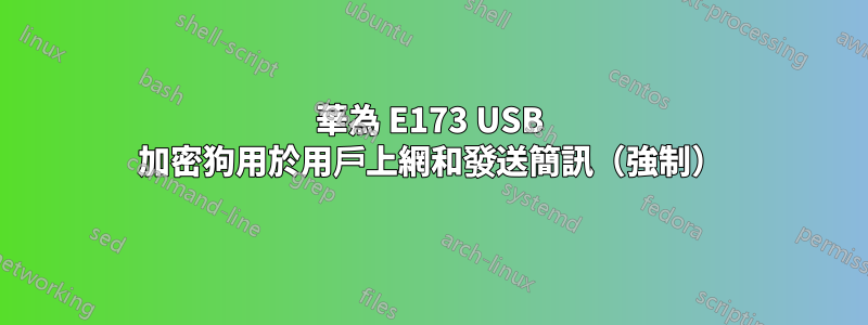 華為 E173 USB 加密狗用於用戶上網和發送簡訊（強制）
