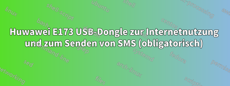 Huwawei E173 USB-Dongle zur Internetnutzung und zum Senden von SMS (obligatorisch)