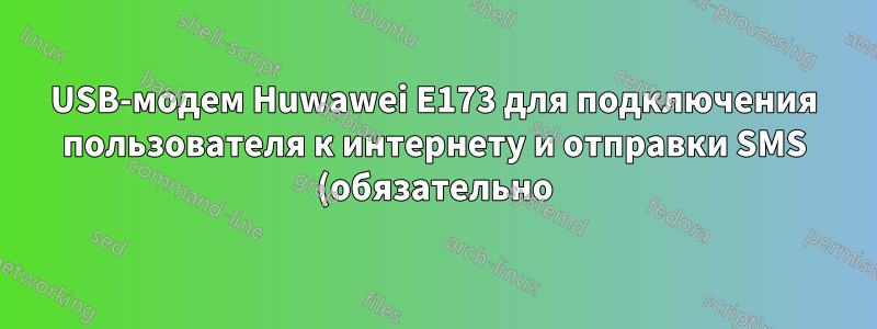 USB-модем Huwawei E173 для подключения пользователя к интернету и отправки SMS (обязательно)