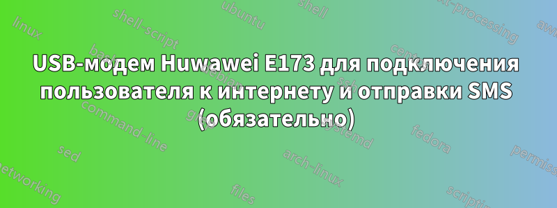 USB-модем Huwawei E173 для подключения пользователя к интернету и отправки SMS (обязательно)