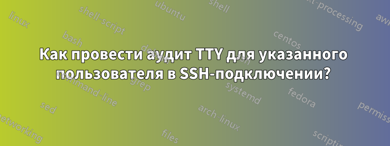 Как провести аудит TTY для указанного пользователя в SSH-подключении?