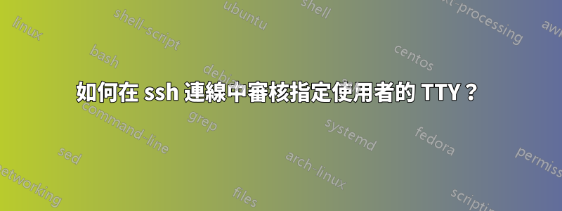 如何在 ssh 連線中審核指定使用者的 TTY？