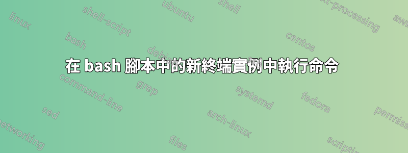 在 bash 腳本中的新終端實例中執行命令