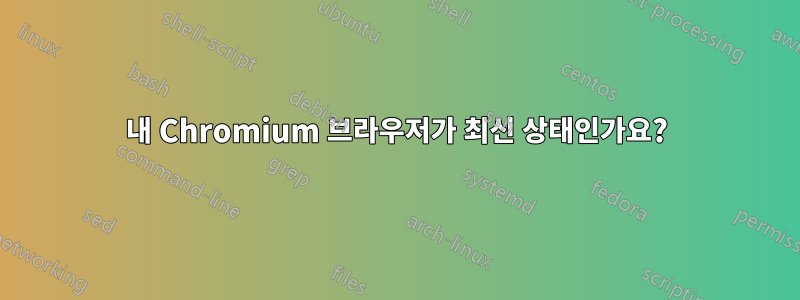 내 Chromium 브라우저가 최신 상태인가요?