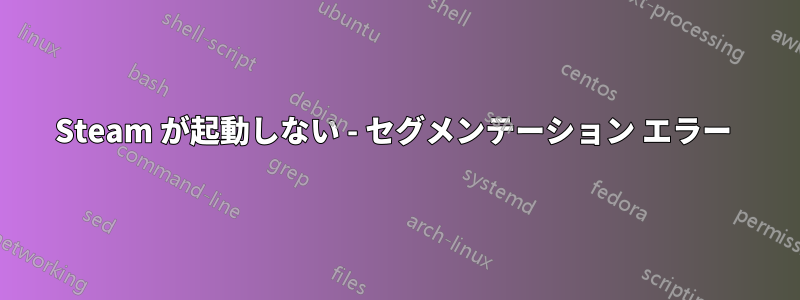 Steam が起動しない - セグメンテーション エラー 
