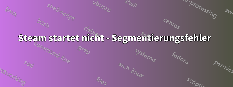 Steam startet nicht - Segmentierungsfehler 