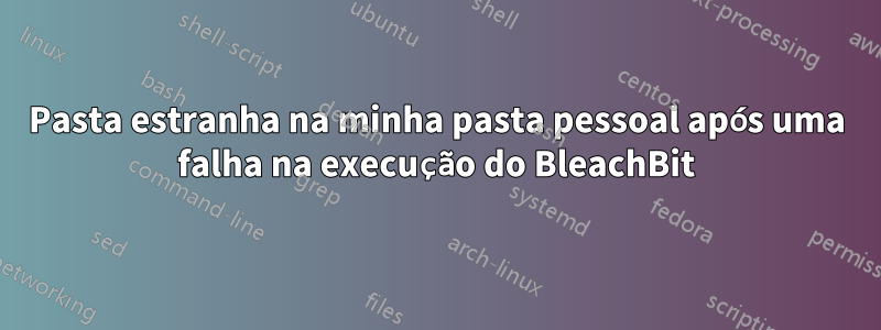 Pasta estranha na minha pasta pessoal após uma falha na execução do BleachBit