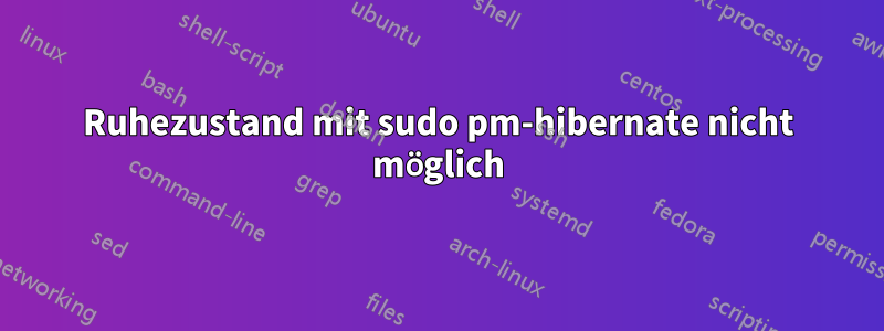 Ruhezustand mit sudo pm-hibernate nicht möglich