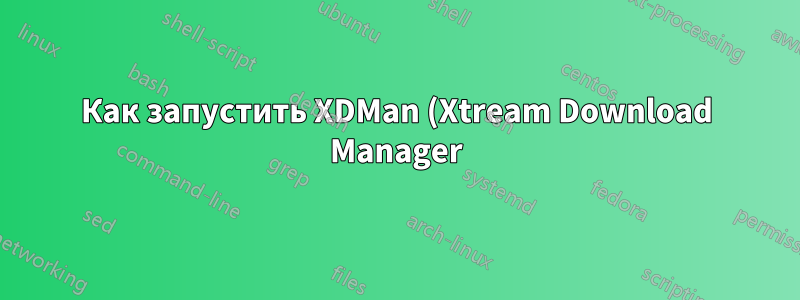 Как запустить XDMan (Xtream Download Manager) при запуске Ubuntu?