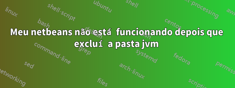 Meu netbeans não está funcionando depois que excluí a pasta jvm