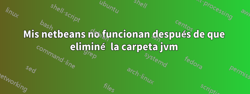 Mis netbeans no funcionan después de que eliminé la carpeta jvm