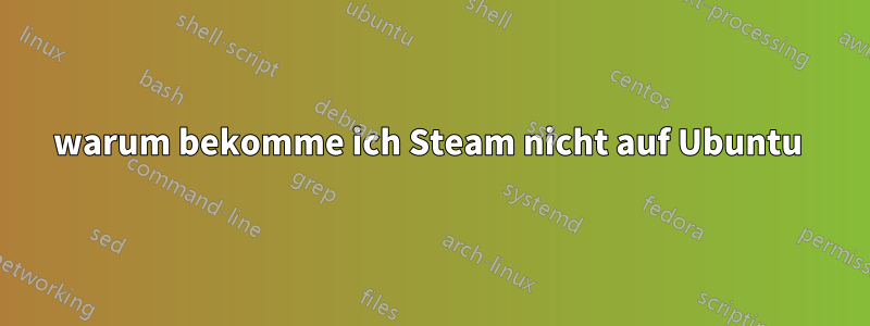 warum bekomme ich Steam nicht auf Ubuntu 