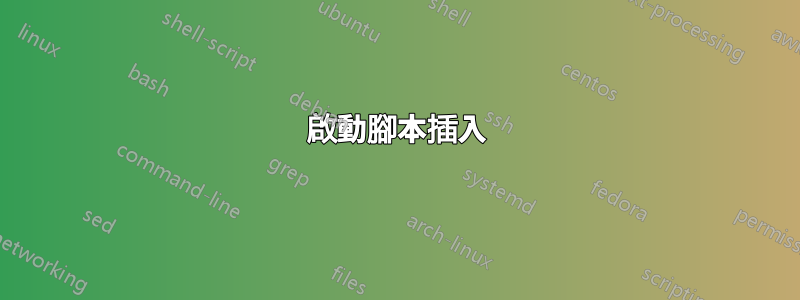 啟動腳本插入