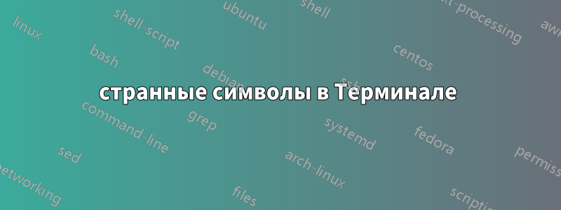 странные символы в Терминале