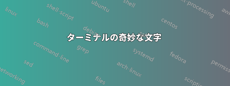 ターミナルの奇妙な文字