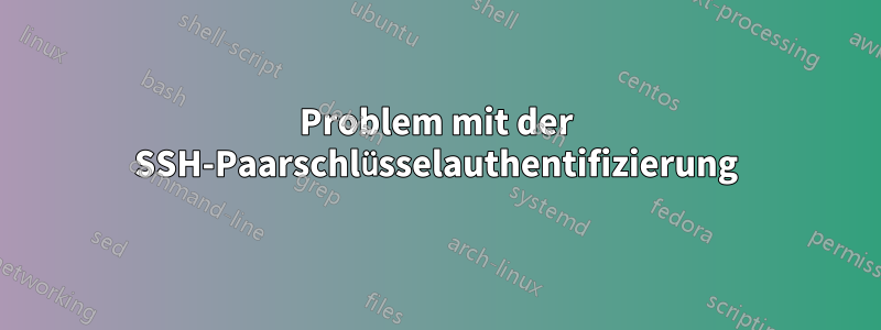 Problem mit der SSH-Paarschlüsselauthentifizierung