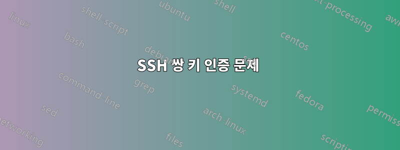 SSH 쌍 키 인증 문제