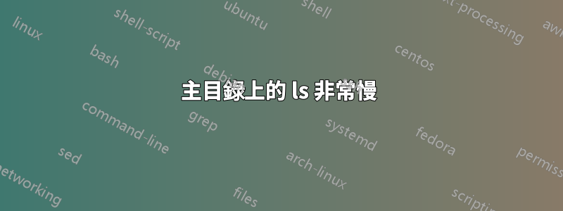 主目錄上的 ls 非常慢