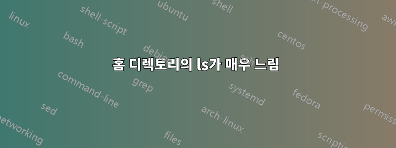 홈 디렉토리의 ls가 매우 느림