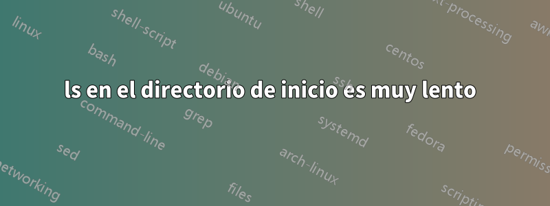 ls en el directorio de inicio es muy lento 