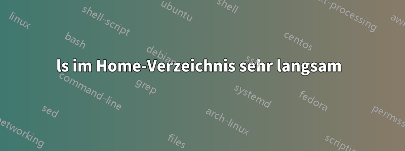 ls im Home-Verzeichnis sehr langsam 