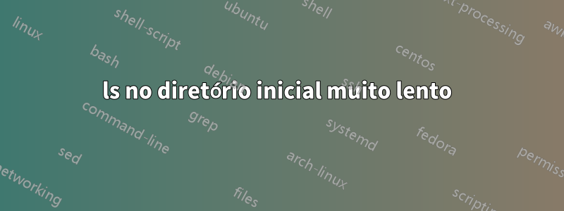 ls no diretório inicial muito lento
