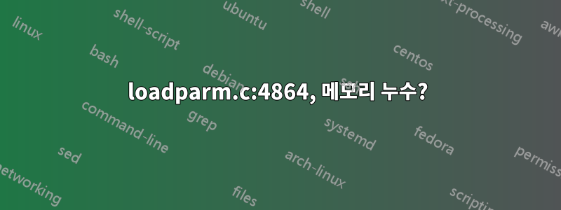 loadparm.c:4864, 메모리 누수?