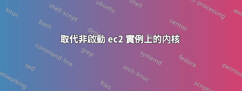 取代非啟動 ec2 實例上的內核