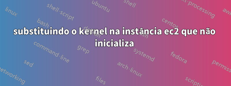substituindo o kernel na instância ec2 que não inicializa