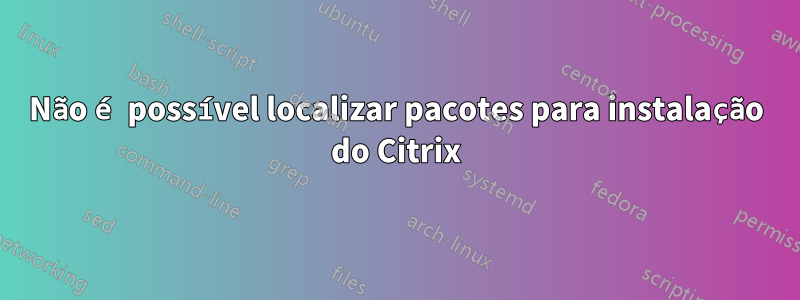 Não é possível localizar pacotes para instalação do Citrix