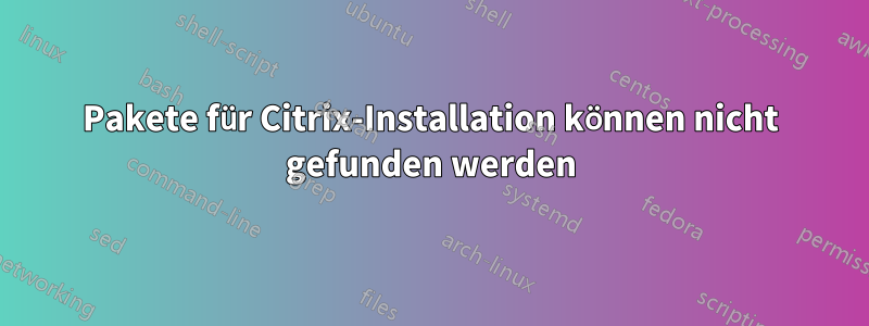 Pakete für Citrix-Installation können nicht gefunden werden