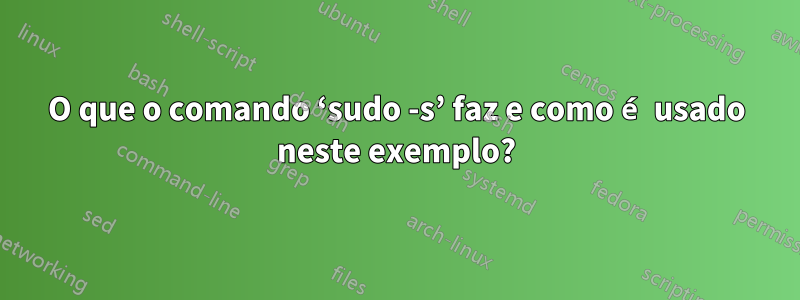 O que o comando ‘sudo -s’ faz e como é usado neste exemplo?