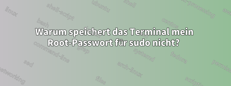 Warum speichert das Terminal mein Root-Passwort für sudo nicht? 