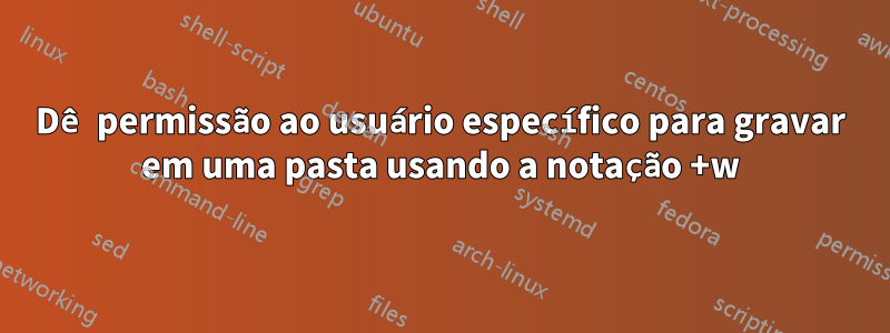 Dê permissão ao usuário específico para gravar em uma pasta usando a notação +w