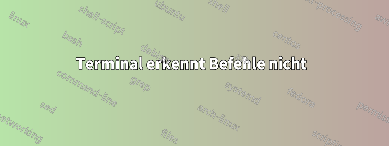 Terminal erkennt Befehle nicht