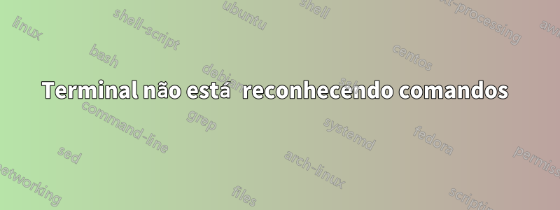 Terminal não está reconhecendo comandos