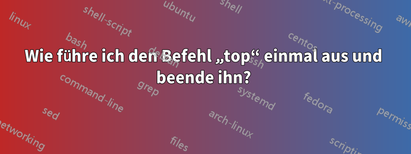 Wie führe ich den Befehl „top“ einmal aus und beende ihn?
