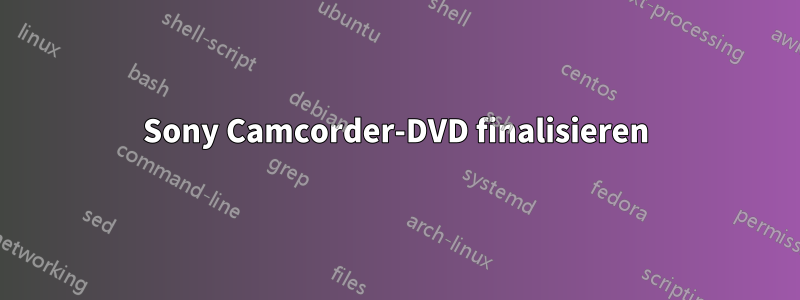 Sony Camcorder-DVD finalisieren