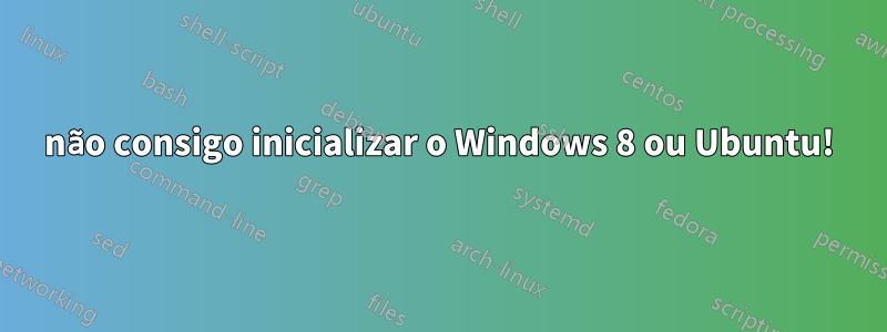 não consigo inicializar o Windows 8 ou Ubuntu!