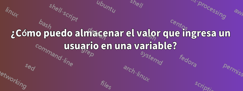 ¿Cómo puedo almacenar el valor que ingresa un usuario en una variable?