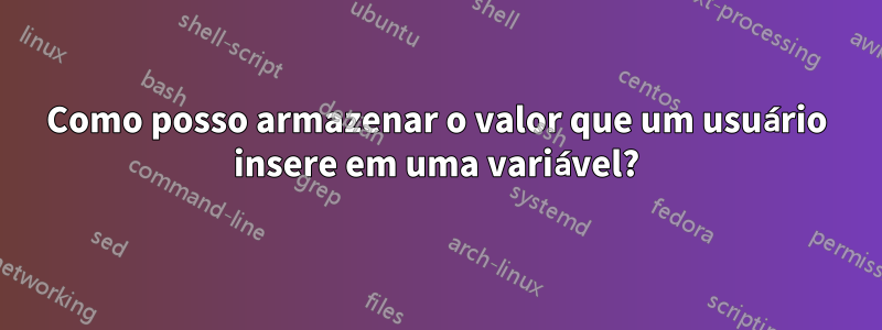 Como posso armazenar o valor que um usuário insere em uma variável?