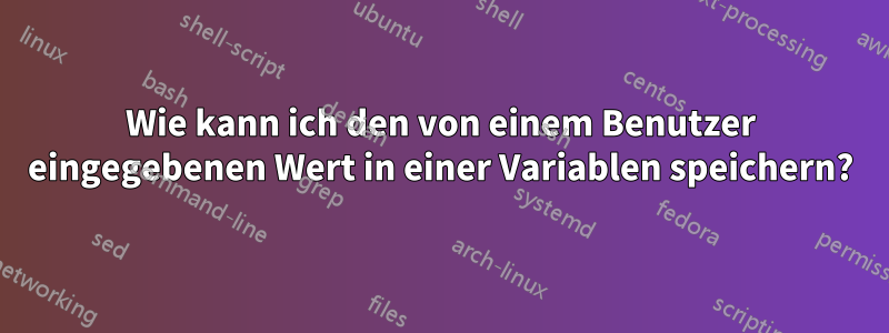 Wie kann ich den von einem Benutzer eingegebenen Wert in einer Variablen speichern?