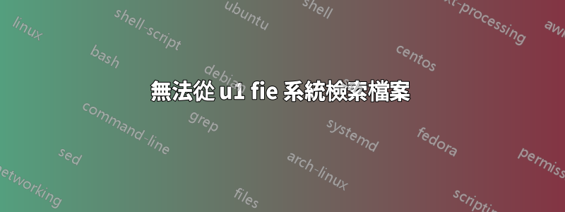 無法從 u1 fie 系統檢索檔案