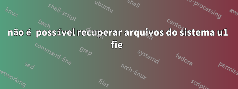 não é possível recuperar arquivos do sistema u1 fie 