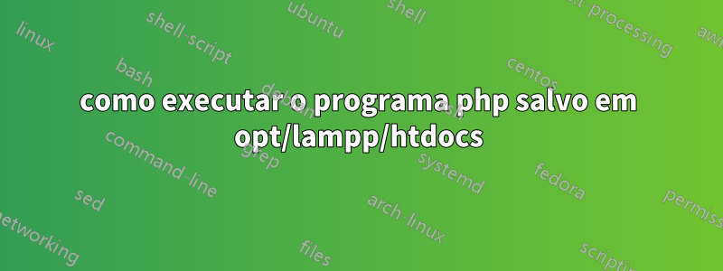 como executar o programa php salvo em opt/lampp/htdocs