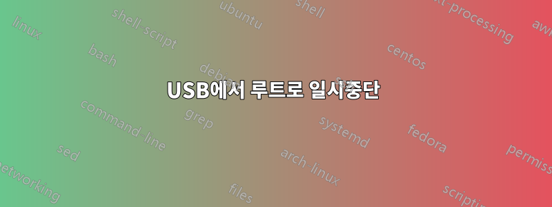 USB에서 루트로 일시중단