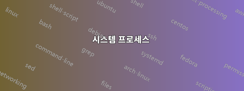 시스템 프로세스